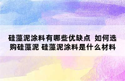 硅藻泥涂料有哪些优缺点  如何选购硅藻泥 硅藻泥涂料是什么材料